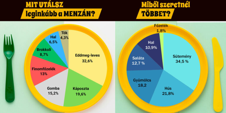 Levél az Igazgatóságnak